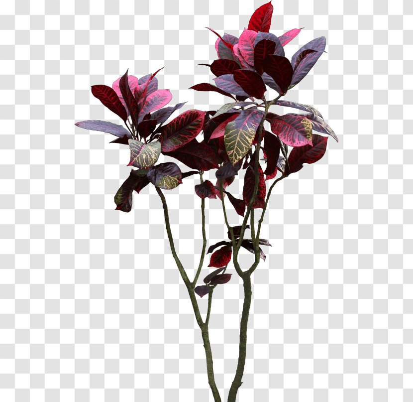 Houseplant Bonsai Cut Flowers Flora Transparent PNG