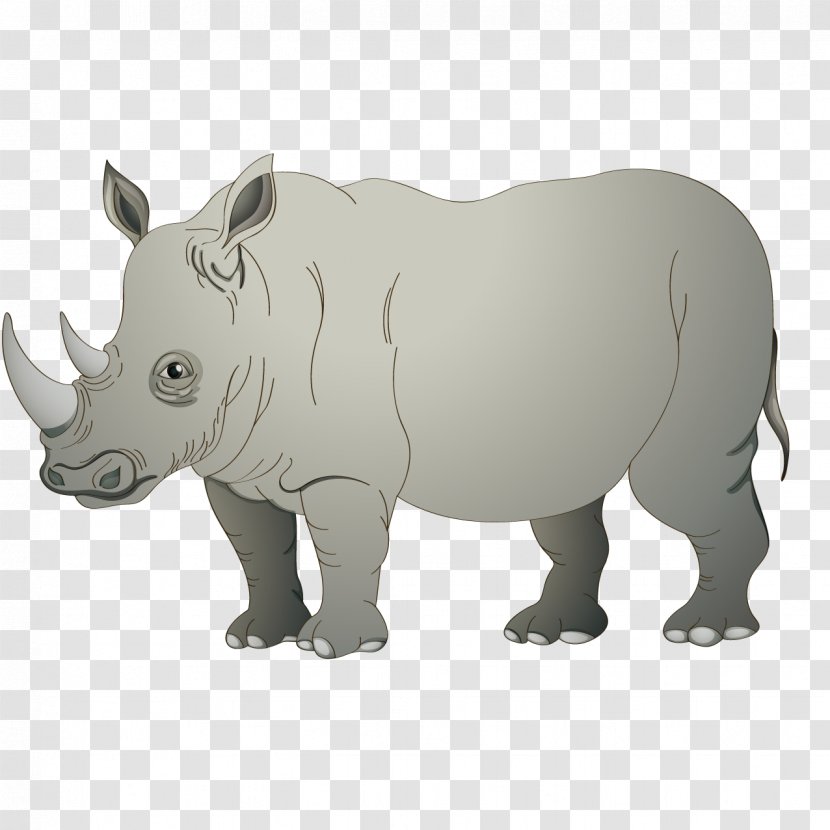 Rhinoceros 3D Cartoon - Fauna - Rhino Transparent PNG
