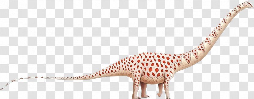 Animal Cartoon - Pachycephalosaurus - Wildlife Transparent PNG