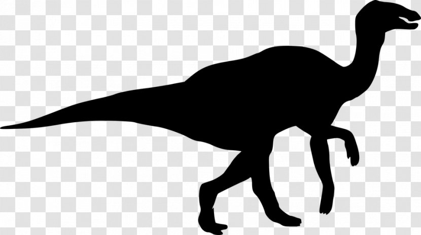 Tyrannosaurus Dinosaur Size Silhouette Spinosaurus - Reptile Transparent PNG