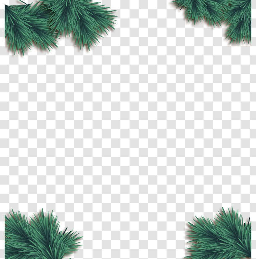 Christmas Euclidean Vector Pine - Decorative Transparent PNG