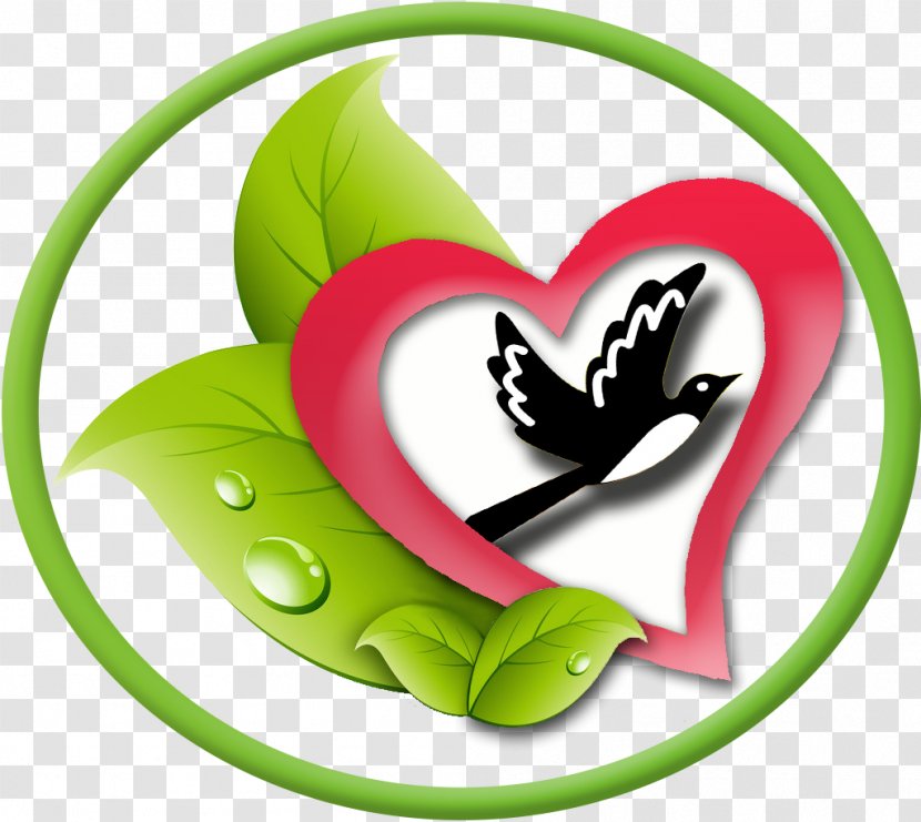 Health Care Image - Insect - Life Transparent PNG