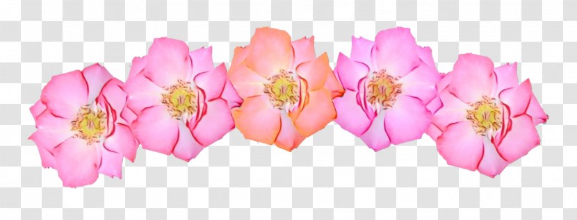 Cherry Blossom - Petal - Fashion Accessory Transparent PNG