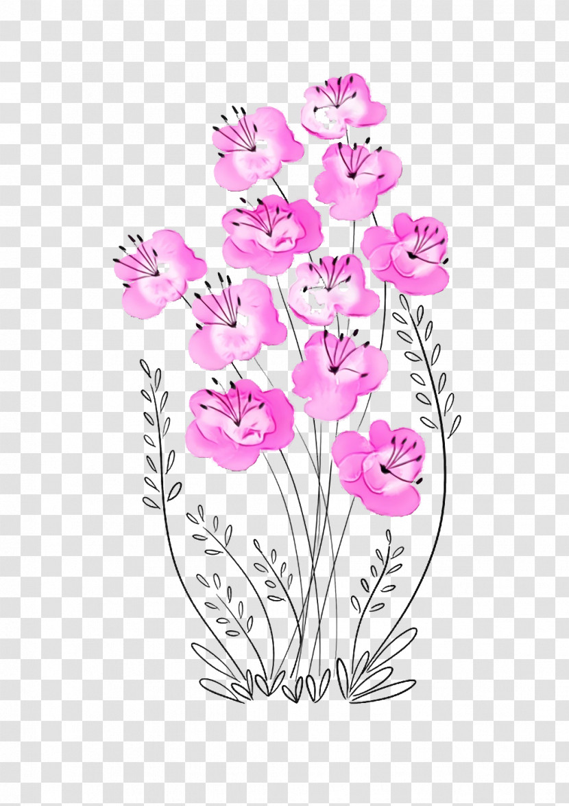Flower Plant Pink Cut Flowers Moth Orchid Transparent PNG