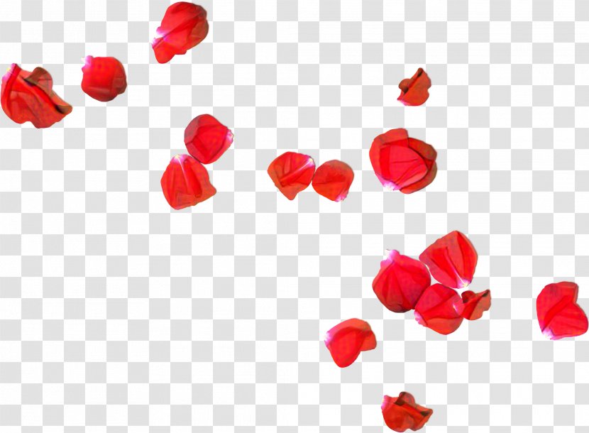 Petal Flower Rose Stock Photography Red - Heart Transparent PNG