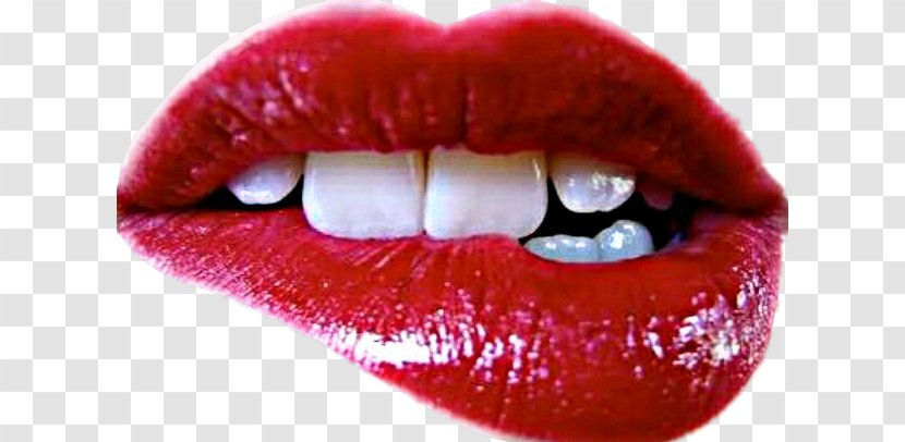 Lip Human Tooth Mouth Woman - Facial Hair - Gloss Transparent PNG