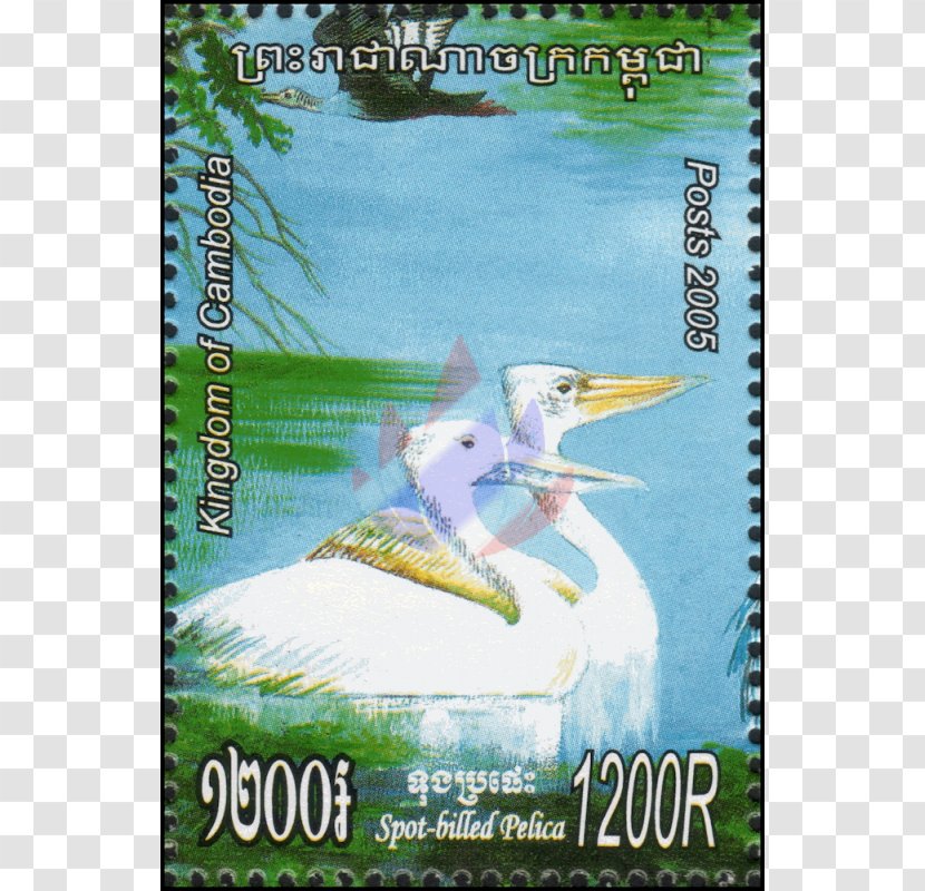 Beak Ecosystem Bird Fauna Advertising - Notebook Transparent PNG