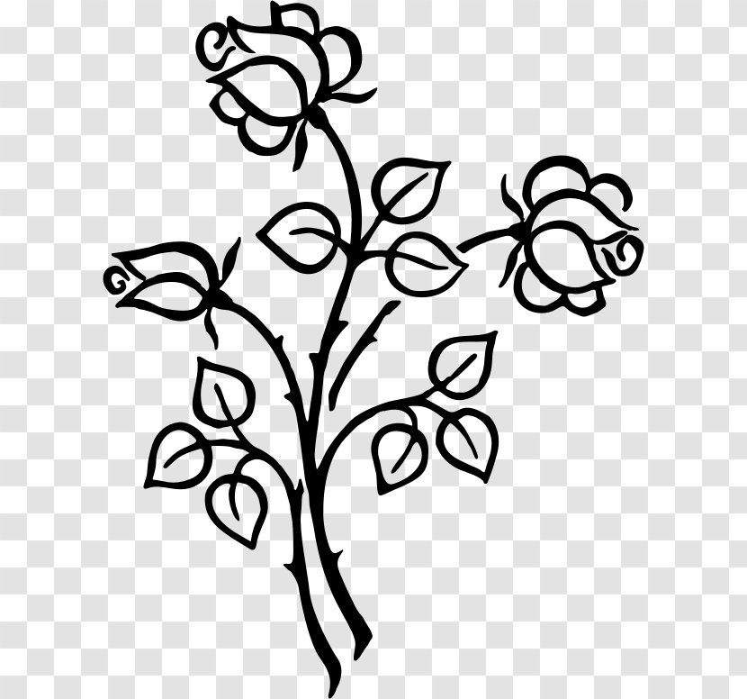 Line Art Drawing Floral Design Clip - Black And White - Rose Transparent PNG