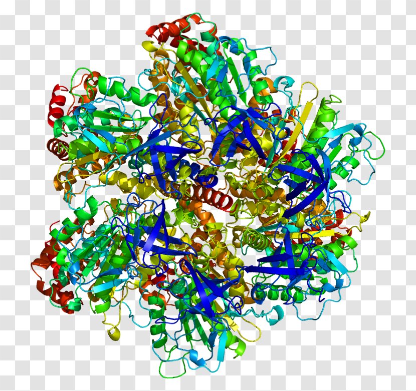 ATP Synthase Gamma Subunit ATPase Adenosine Triphosphate Protein - Frame - Mito Class Transparent PNG