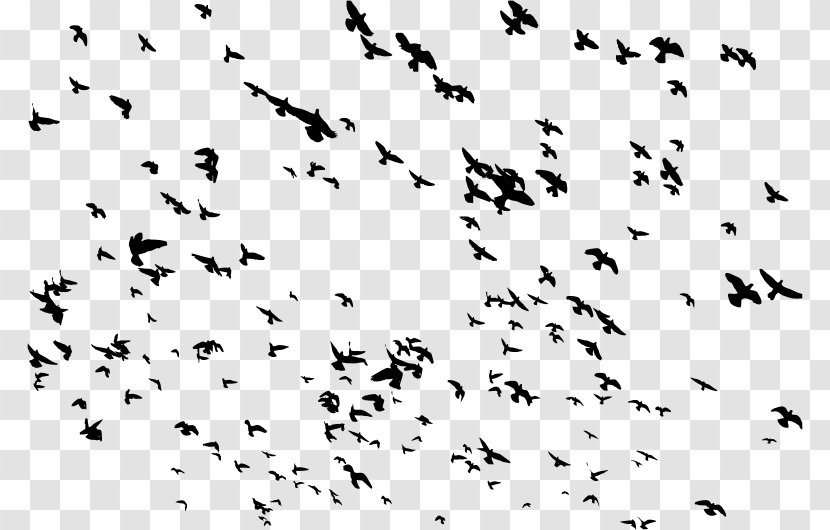 Bird Flight Flock Clip Art - Migration Transparent PNG