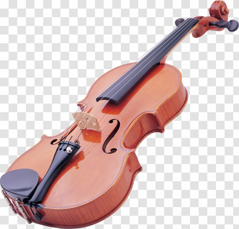 Amazon.com Ukulele Violin String Instruments - Frame Transparent PNG