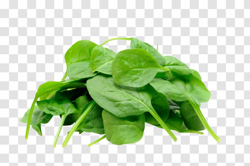 Juice Organic Food Spinach Leaf Vegetable - Komatsuna - Parsley Transparent PNG