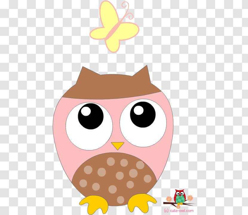 Owl Cartoon - Borders And Frames - Bird Of Prey Transparent PNG