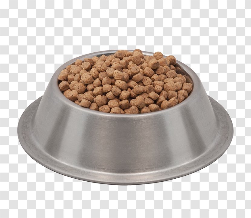 Cat Food Dog Ferret Vegetarian Cuisine - Tableware Transparent PNG