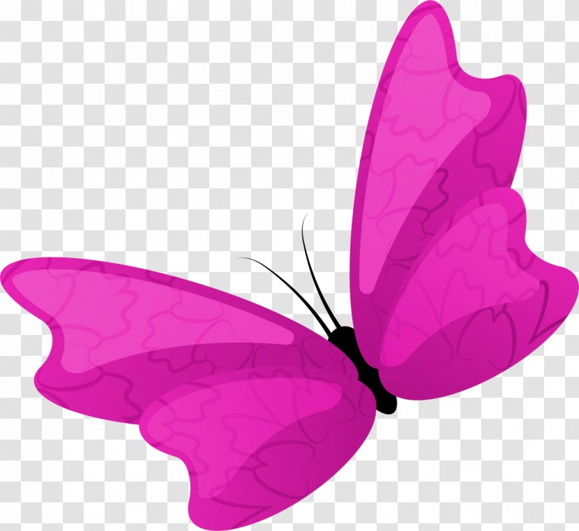 Nymphalidae Insect Butterflies And Moths Clip Art - Petal - Liveinternet Transparent PNG