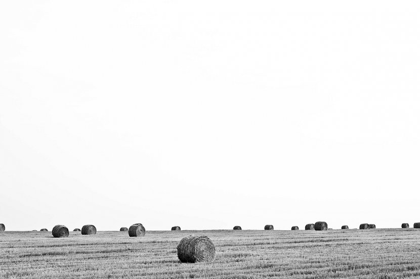 Agriculture YouTube Friendship Farmer Google - Monochrome Photography Transparent PNG