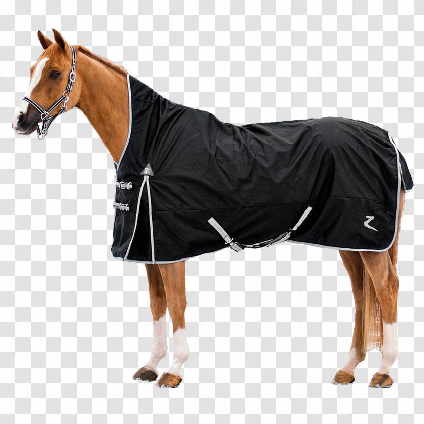 Horse Blanket Equestrian Sport Polar Fleece - Outerwear Transparent PNG