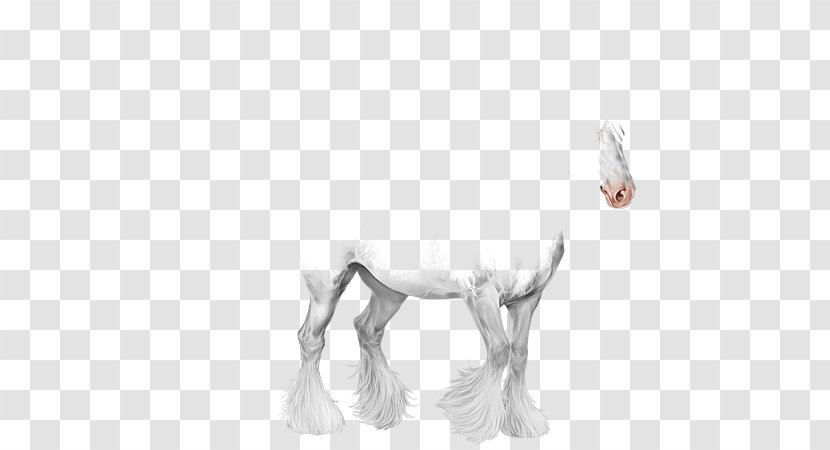 Mustang Goat Pony Camel Pack Animal - Gypsy Horse Transparent PNG