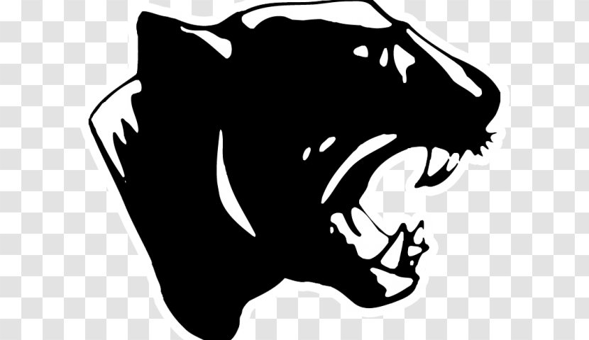 Carolina Panthers Aransas Pass High School Superior Senior American Football Sports - Mammal Transparent PNG