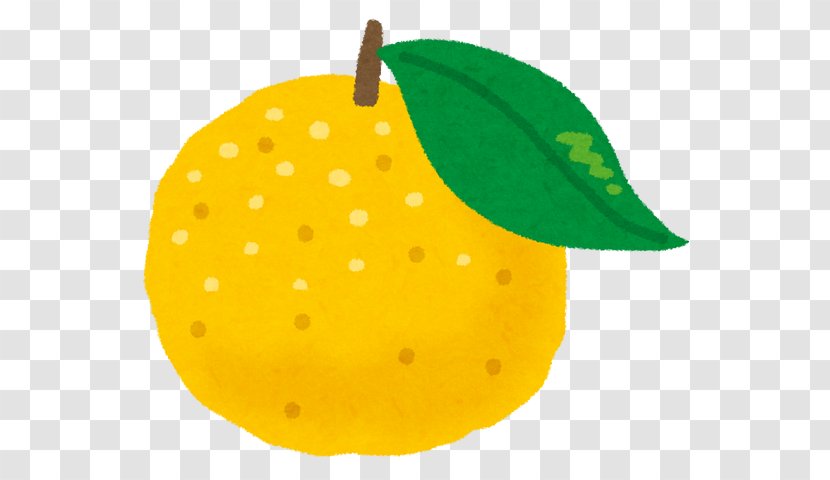 Yuzu Citrus Junos 柚子汤 Umaji Winter Solstice - From - Leek Transparent PNG