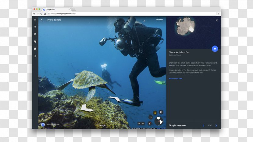 Marine Mammal Biology Graphic Design Desktop Wallpaper Divemaster - Computer Transparent PNG