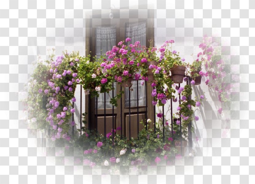 Window Balcony Freaky Flowers Balconet Transparent PNG