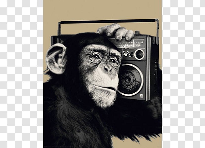 Chimpanzee Poster Monkey Primate Image - Snout Transparent PNG