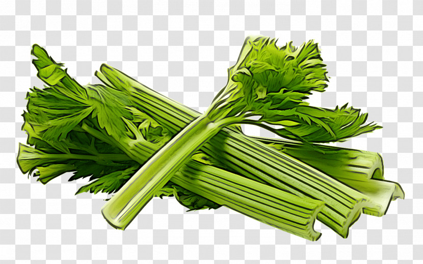 Parsley Transparent PNG