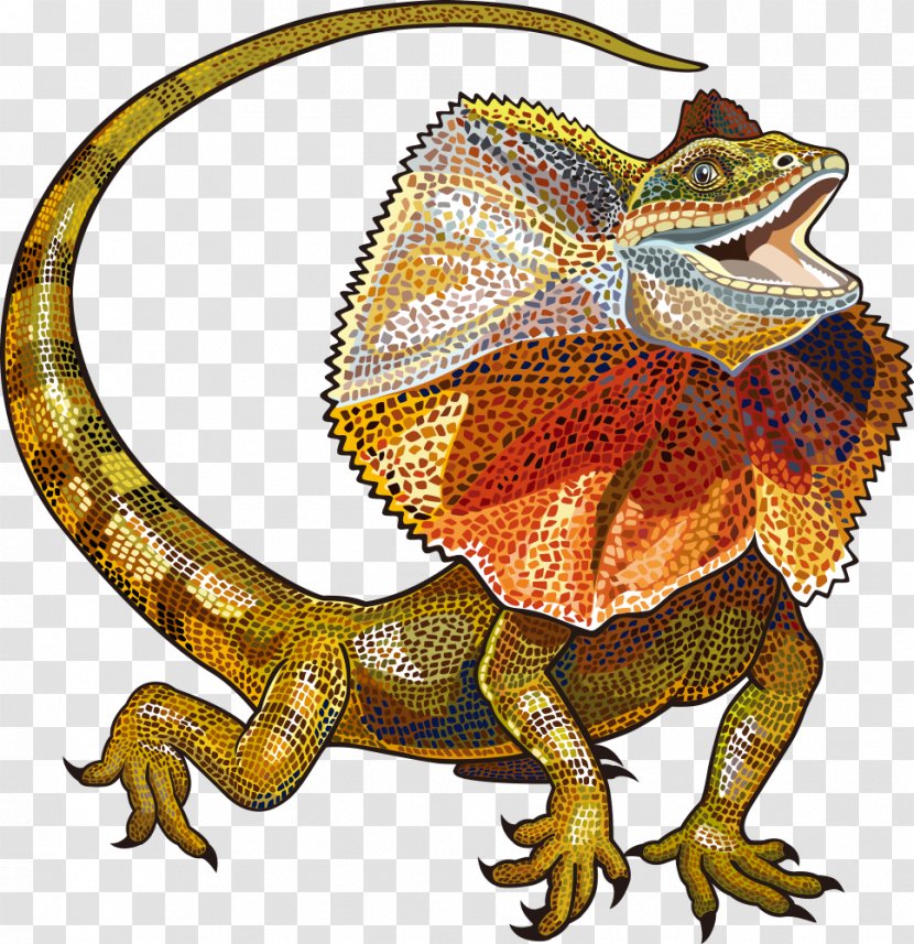 Vector Lizard - Toad - Terrestrial Animal Transparent PNG