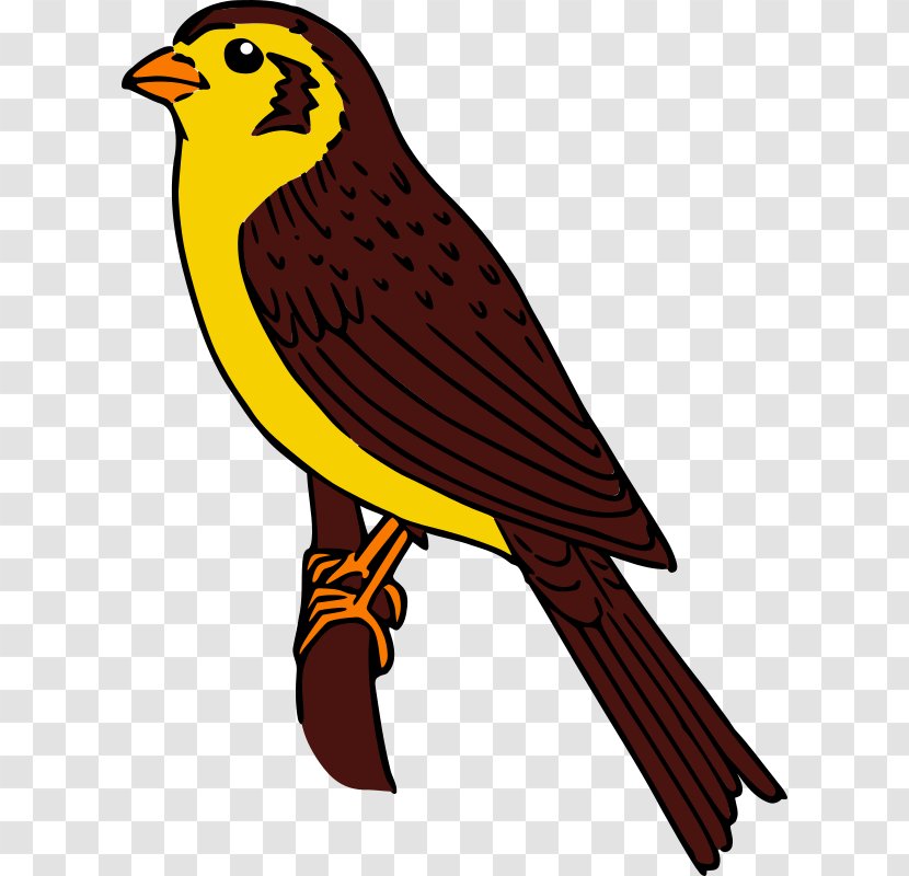 Bird Sparrow Clip Art - Beak Transparent PNG