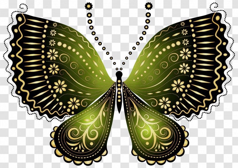 Insect Butterfly Moths And Butterflies Wing Clip Art - Symmetry Pollinator Transparent PNG