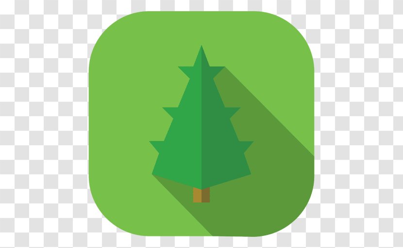 Pine Christmas Tree Conifer Cone - Symbol Transparent PNG