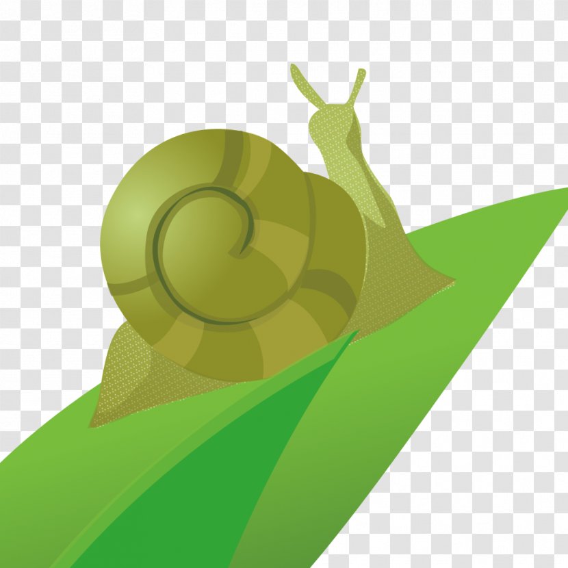 Leaf Orthogastropoda Caracol - Sunlight - Snail On The Leaves Transparent PNG