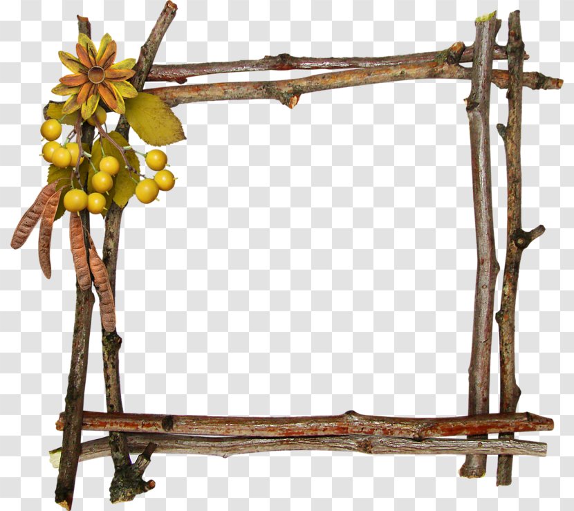 Jabuticaba Frame - Picture - Autumn Transparent PNG