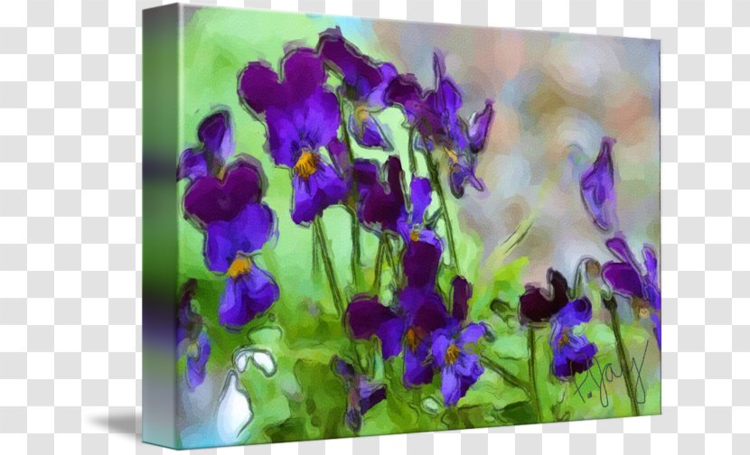 Violet Lavender Petal Annual Plant - Family Transparent PNG