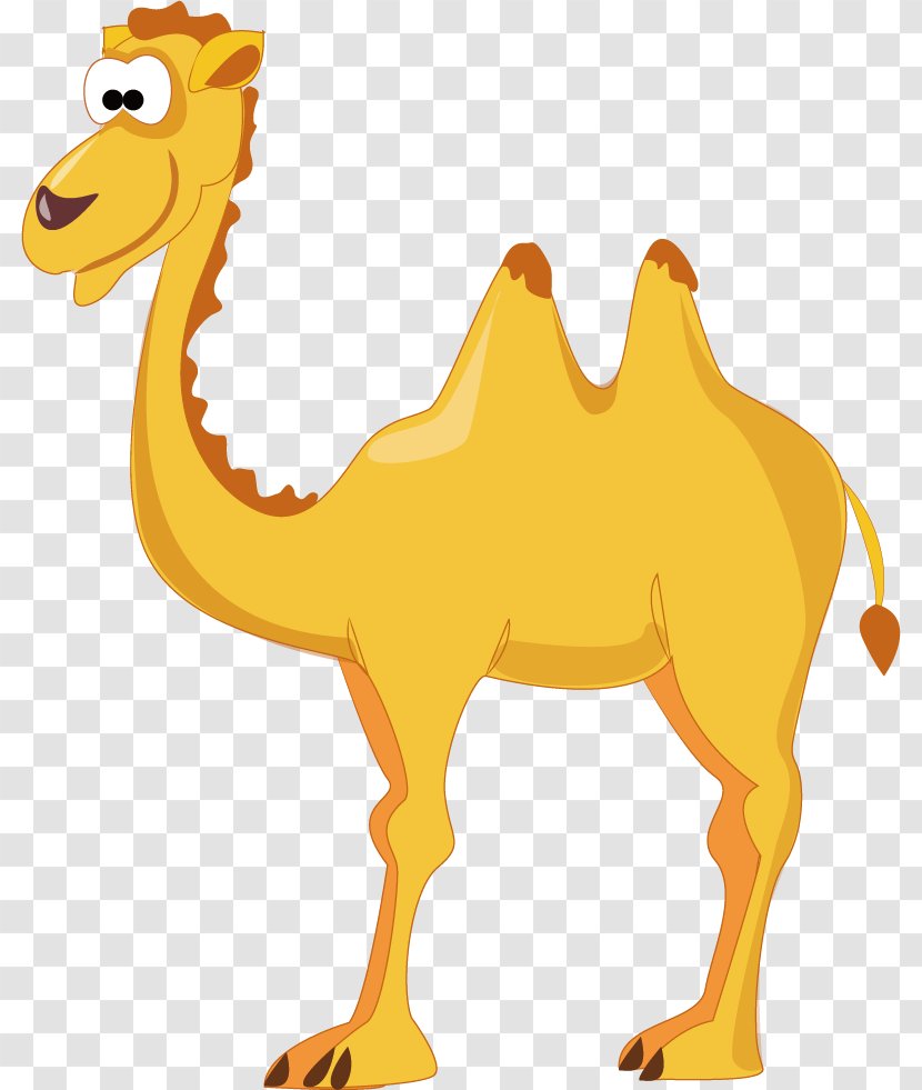 Camel Eid Al-Adha Al-Fitr Sticker - Ironon Transparent PNG