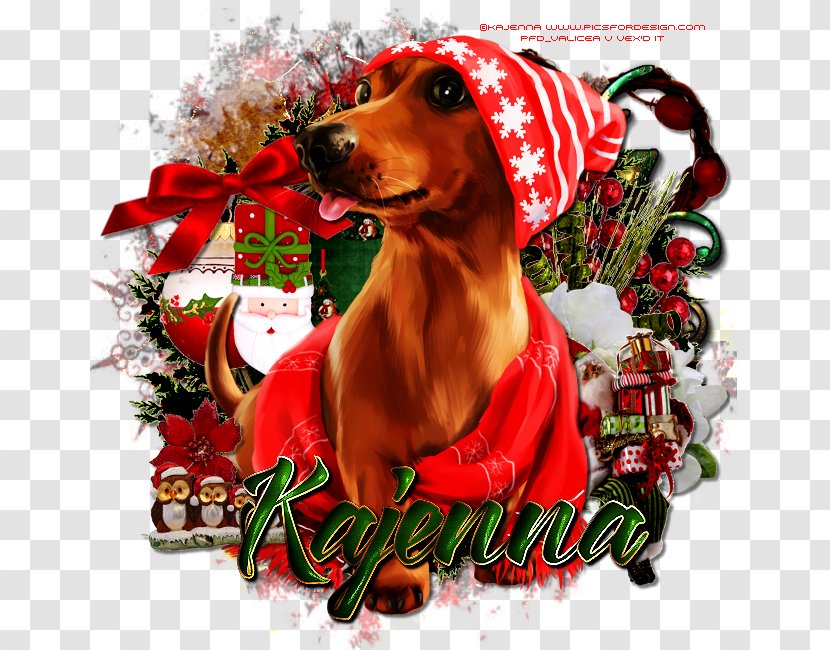 Dog Breed Dachshund Christmas Ornament Puppy - Carnivoran Transparent PNG
