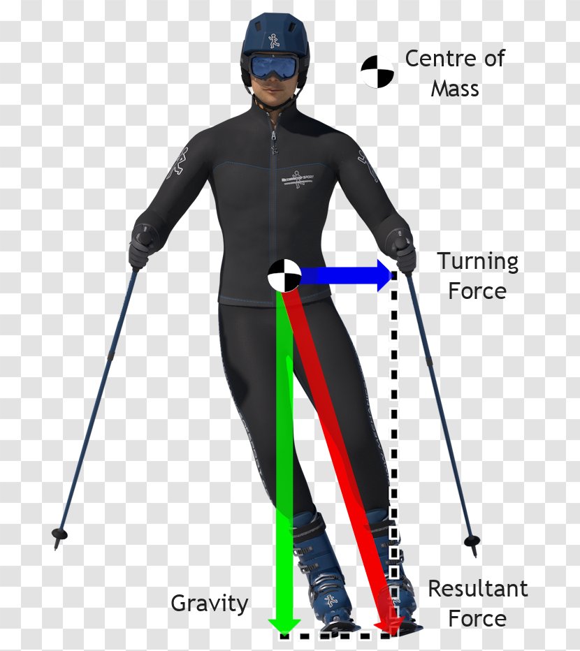 Ski Poles Alpine Skiing Winter Sport - Gravitation Transparent PNG