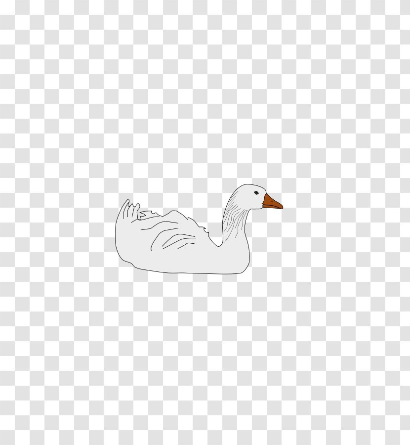 Duck Goose Beak Feather Neck Transparent PNG