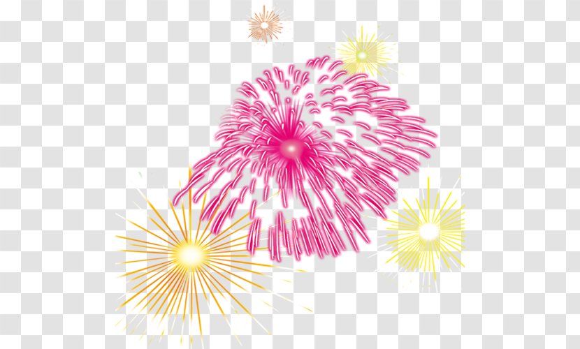 Fireworks Chinese New Year Transparent PNG