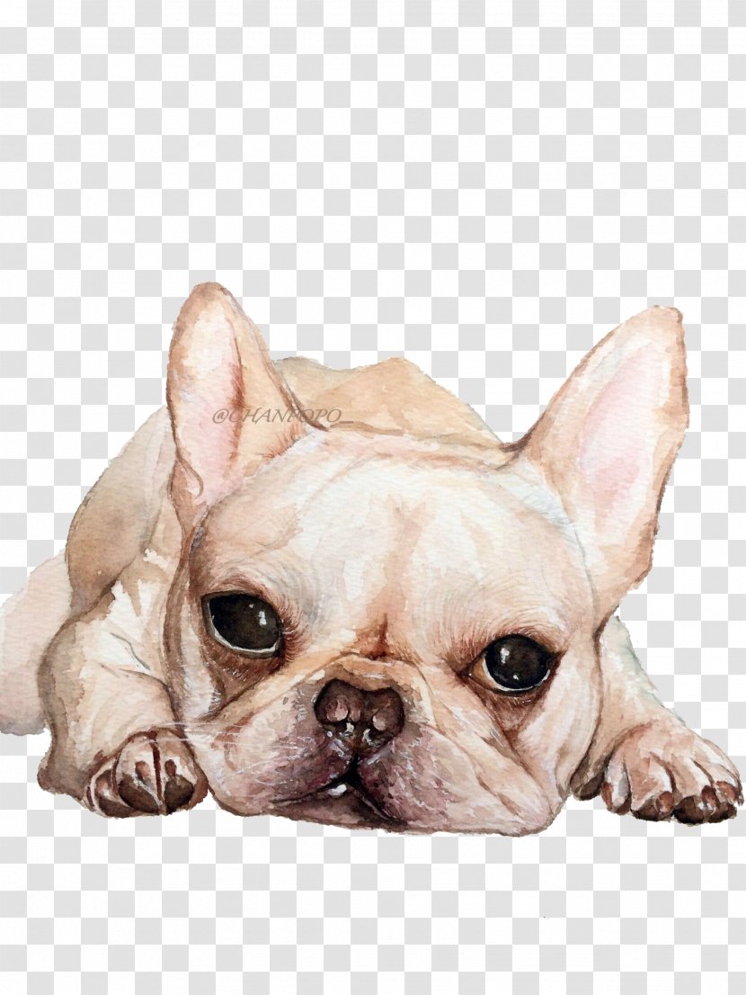 French Bulldog Toy Puppy Dog Breed - Ear - Cute Transparent PNG