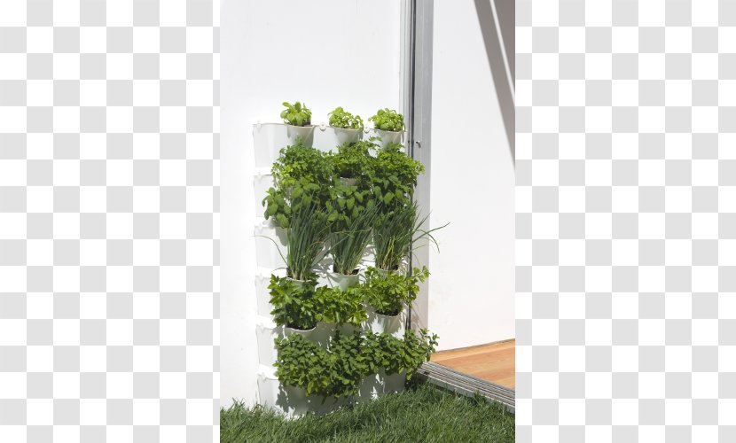 Flowerpot Kitchen Garden Houseplant Bertikal - Evergreen - Vertical Transparent PNG