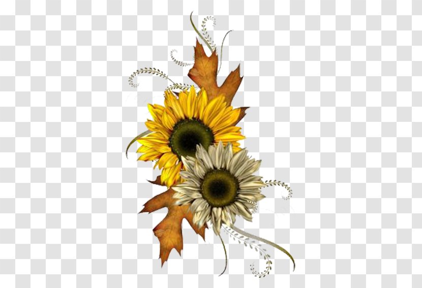 Common Sunflower Autumn Clip Art - Floral Design - Chrysanthemum Transparent PNG