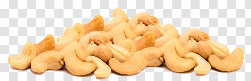 Nut Cashew Industry Company NASDAQ:CNSL - Shell Transparent PNG