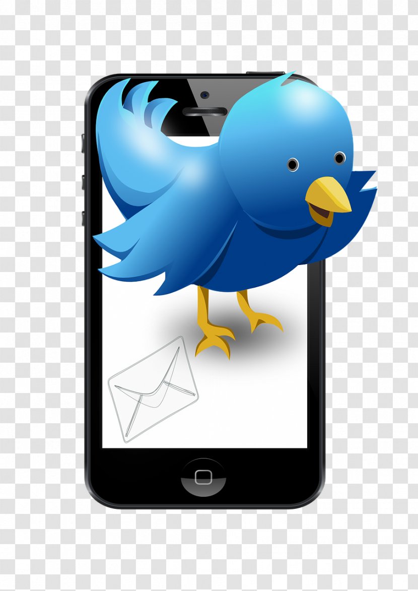 Clip Art Bird Social Media Advertising Tweety Transparent PNG