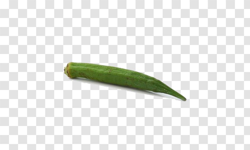 Okra Vegetable Cucumber Green - Tree - Organic Vegetables Transparent PNG