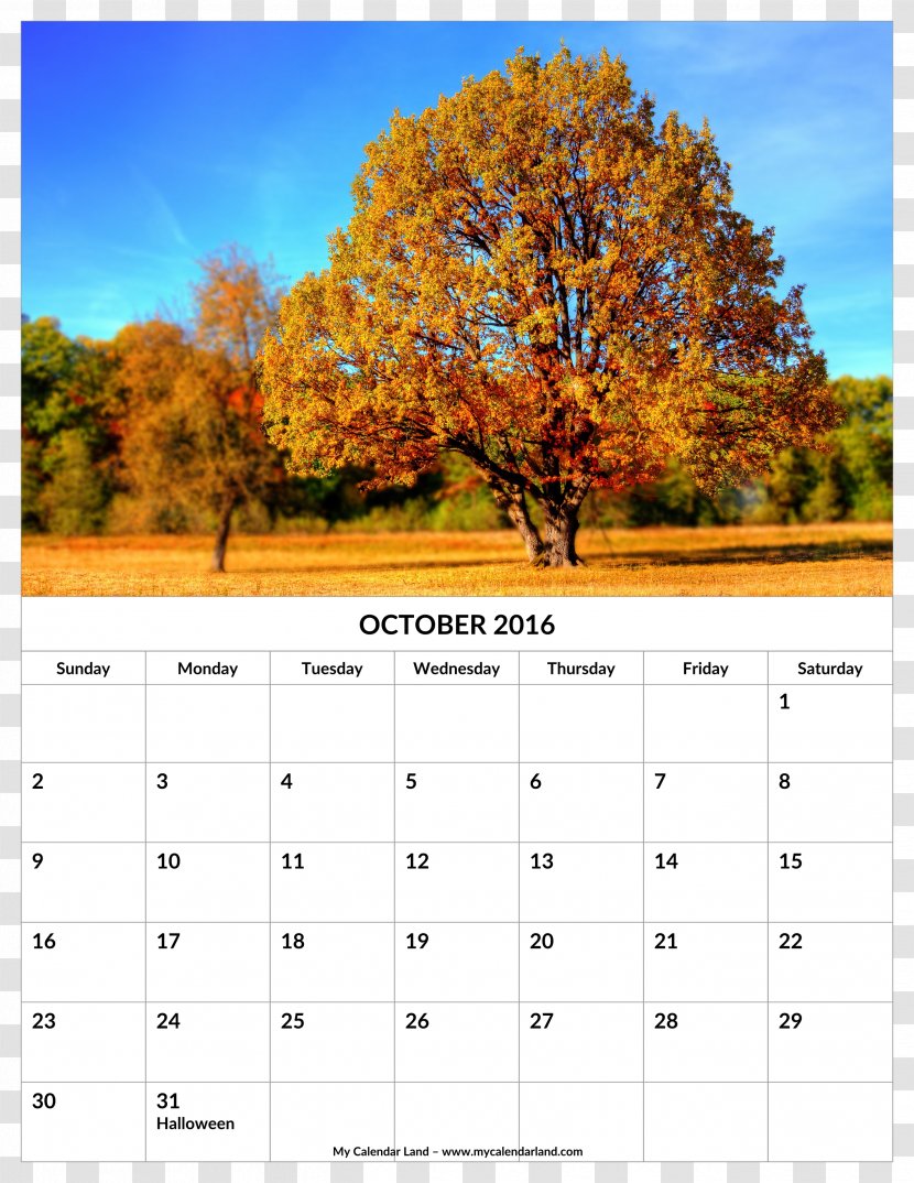 Autumn Leaf Color 0 Season Calendar - May - Woods Transparent PNG