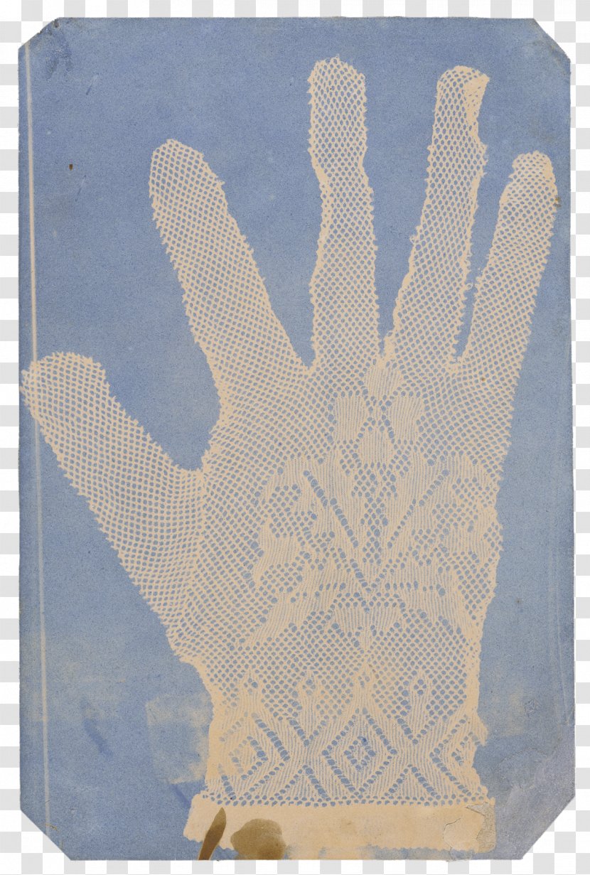 [Lace Glove] [Arrangement Of Specimens] J. Paul Getty Museum Photography Cyanotype - John Herschel - Windmills Transparent PNG