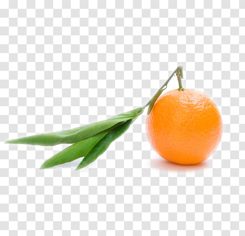 Orange Juice Clementine S.A. Mandarin - Slovensko Transparent PNG