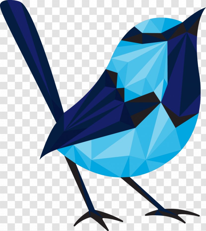 Superb Fairywren Bird Web Development - Custom Software - Origami Creative Transparent PNG
